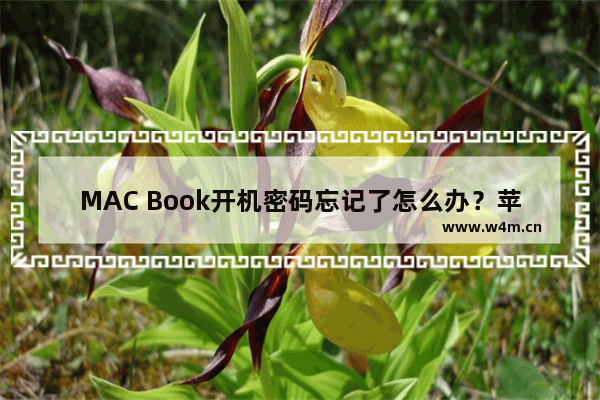 MAC Book开机密码忘记了怎么办？苹果笔记本密码忘了如何重设？