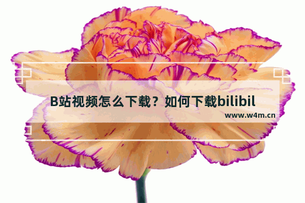 B站视频怎么下载？如何下载bilibili视频？