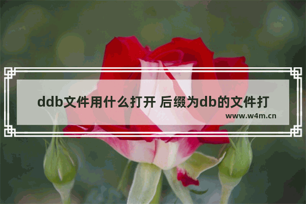 ddb文件用什么打开 后缀为db的文件打开方式