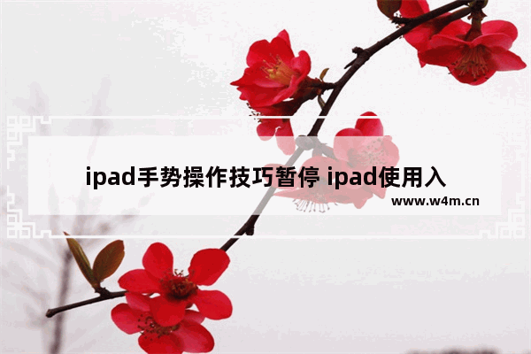 ipad手势操作技巧暂停 ipad使用入门教程