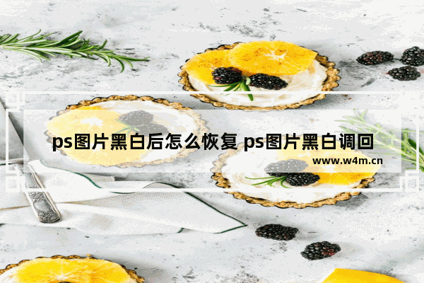 ps图片黑白后怎么恢复 ps图片黑白调回彩色的方法