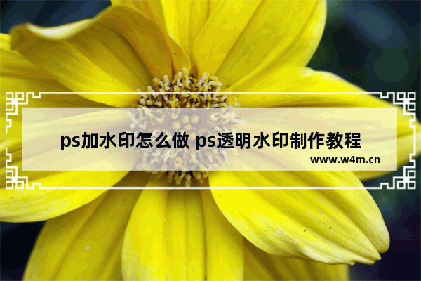 ps加水印怎么做 ps透明水印制作教程