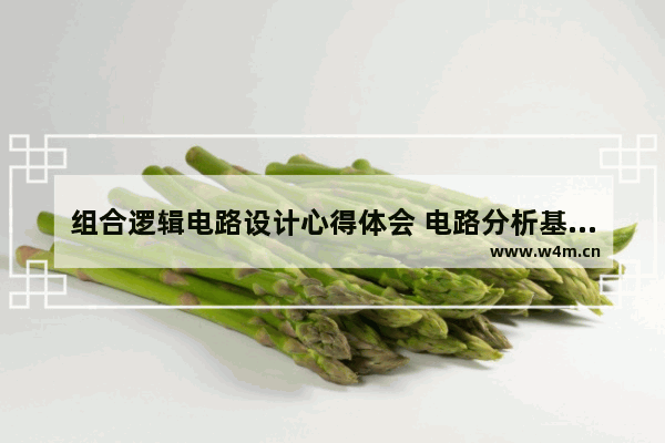 组合逻辑电路设计心得体会 电路分析基础了解