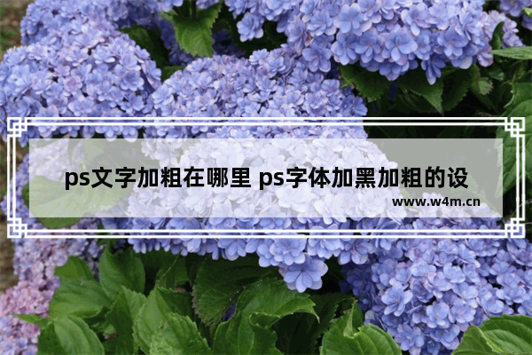 ps文字加粗在哪里 ps字体加黑加粗的设置