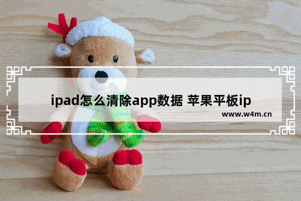 ipad怎么清除app数据 苹果平板ipad清理内存的步骤