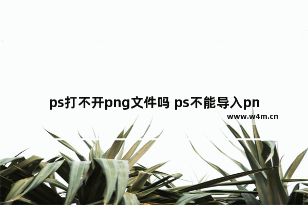 ps打不开png文件吗 ps不能导入png格式图片