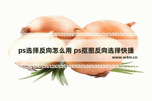 ps选择反向怎么用 ps抠图反向选择快捷键