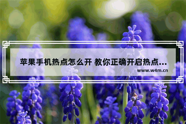 苹果手机热点怎么开 教你正确开启热点的步骤