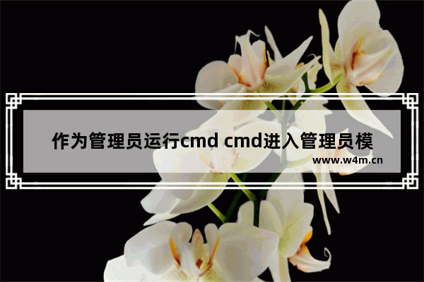 作为管理员运行cmd cmd进入管理员模式