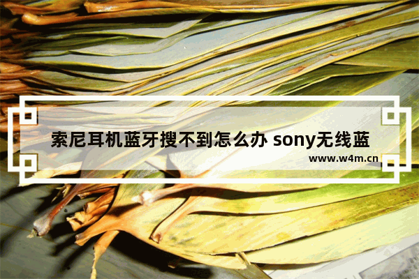 索尼耳机蓝牙搜不到怎么办 sony无线蓝牙耳机配对