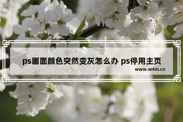 ps画面颜色突然变灰怎么办 ps停用主页屏幕不能勾选的原因