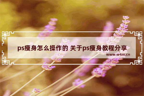 ps瘦身怎么操作的 关于ps瘦身教程分享