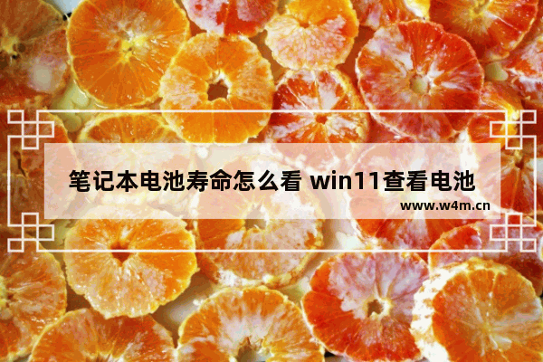 笔记本电池寿命怎么看 win11查看电池健康状态