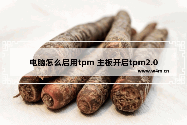 电脑怎么启用tpm 主板开启tpm2.0设置方法