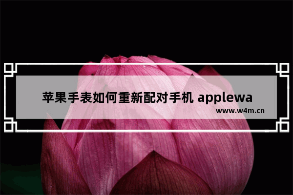 苹果手表如何重新配对手机 applewatch正确配对新手机