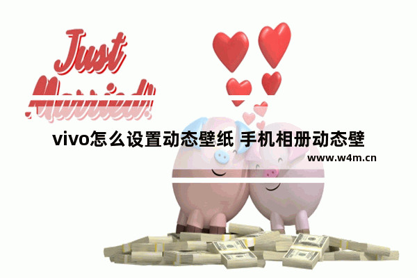 vivo怎么设置动态壁纸 手机相册动态壁纸的设置