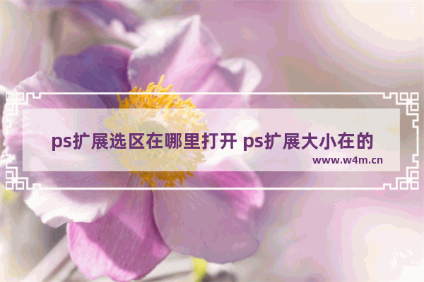 ps扩展选区在哪里打开 ps扩展大小在的设置