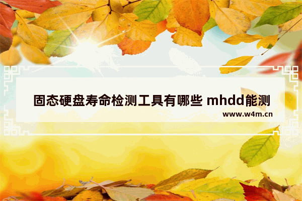 固态硬盘寿命检测工具有哪些 mhdd能测试固态硬盘