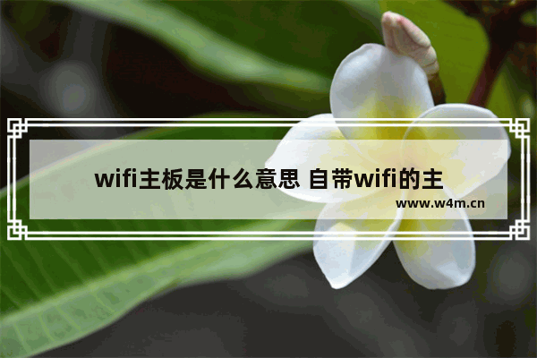 wifi主板是什么意思 自带wifi的主板设置