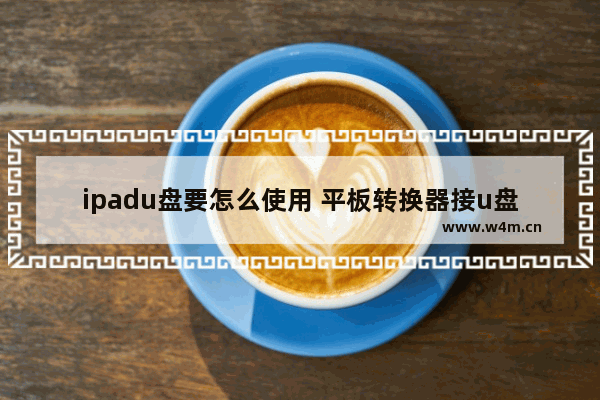 ipadu盘要怎么使用 平板转换器接u盘使用