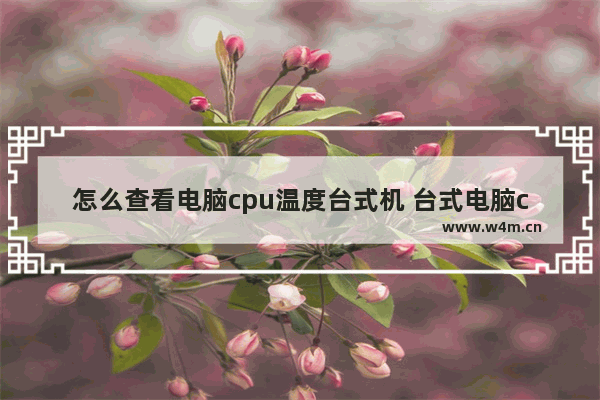 怎么查看电脑cpu温度台式机 台式电脑cpu参数了解