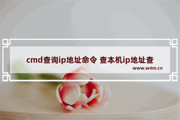 cmd查询ip地址命令 查本机ip地址查询cmd