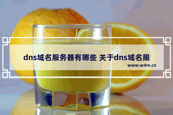 dns域名服务器有哪些 关于dns域名服务器解析过程