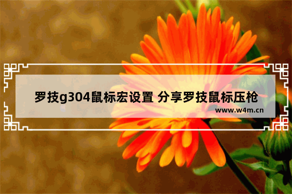 罗技g304鼠标宏设置 分享罗技鼠标压枪宏文件