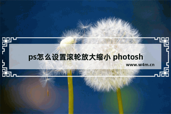 ps怎么设置滚轮放大缩小 photoshop处理图片教程