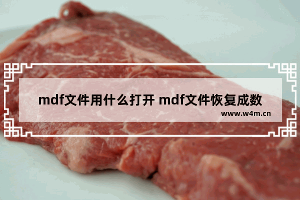 mdf文件用什么打开 mdf文件恢复成数据库