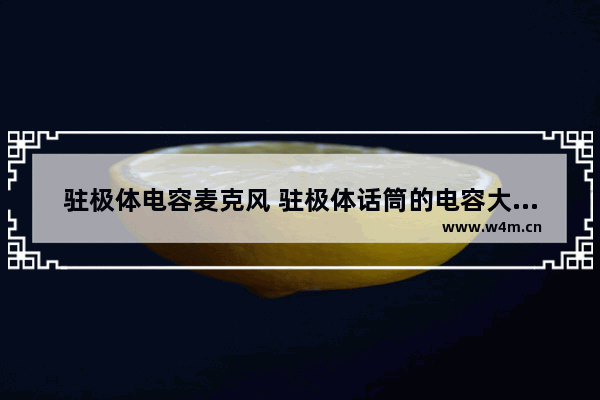 驻极体电容麦克风 驻极体话筒的电容大小了解