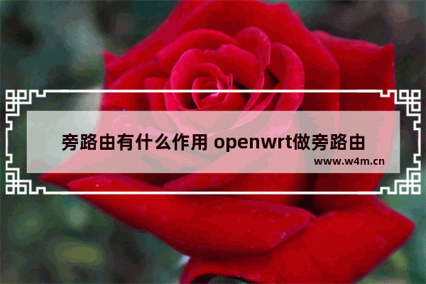 旁路由有什么作用 openwrt做旁路由的好处