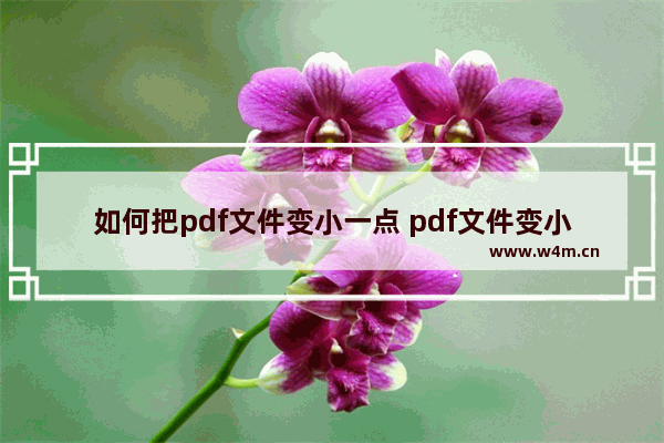 如何把pdf文件变小一点 pdf文件变小的简单方法讲解