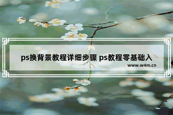 ps换背景教程详细步骤 ps教程零基础入门分享