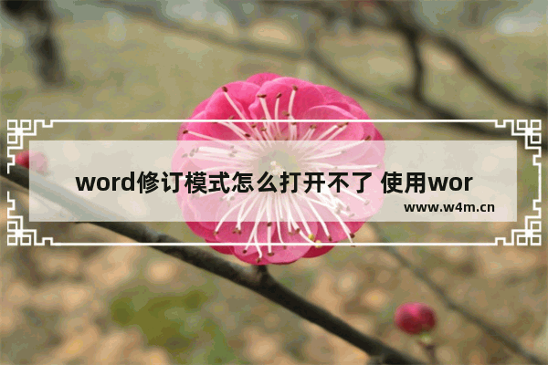 word修订模式怎么打开不了 使用word的审阅修改功能