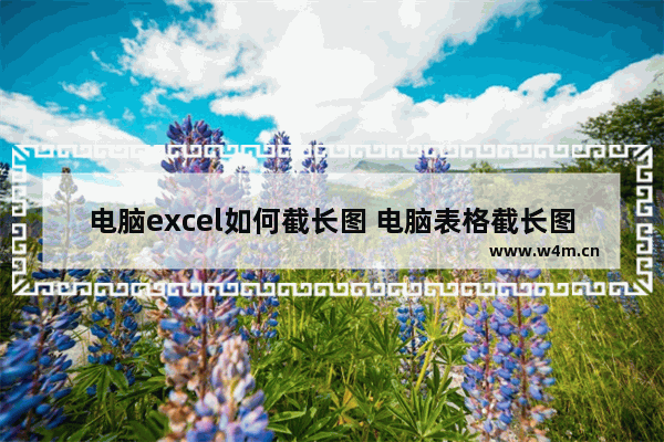 电脑excel如何截长图 电脑表格截长图的简单方法