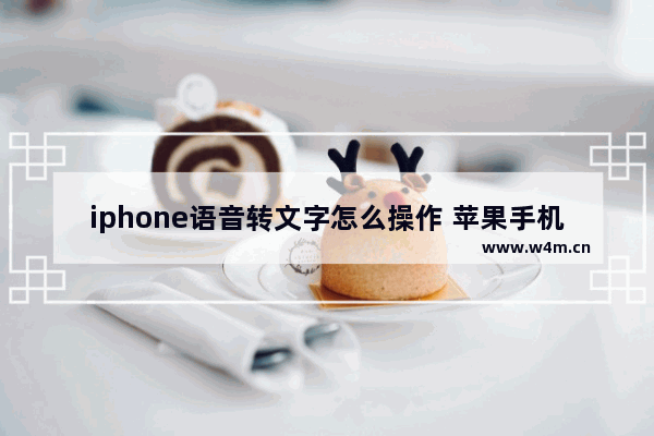 iphone语音转文字怎么操作 苹果手机语音备忘录转文字的技巧