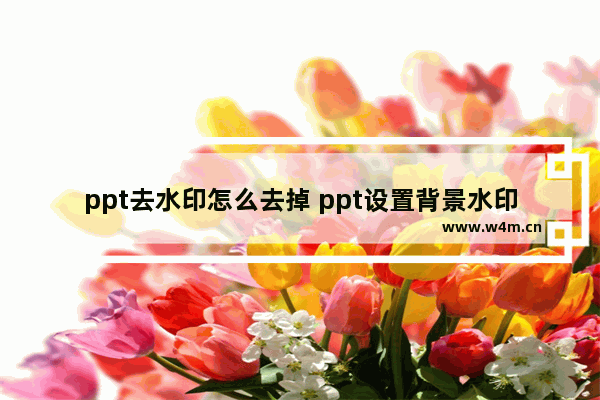 ppt去水印怎么去掉 ppt设置背景水印