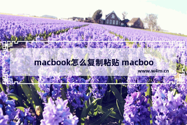 macbook怎么复制粘贴 macbook触控板复制粘贴的办法