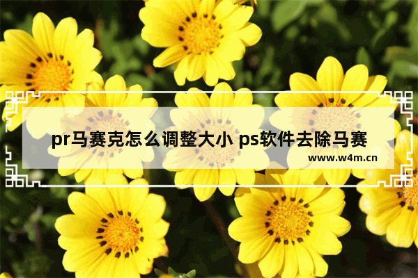 pr马赛克怎么调整大小 ps软件去除马赛克的办法