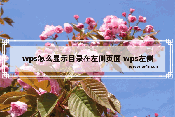 wps怎么显示目录在左侧页面 wps左侧目录导航的设置