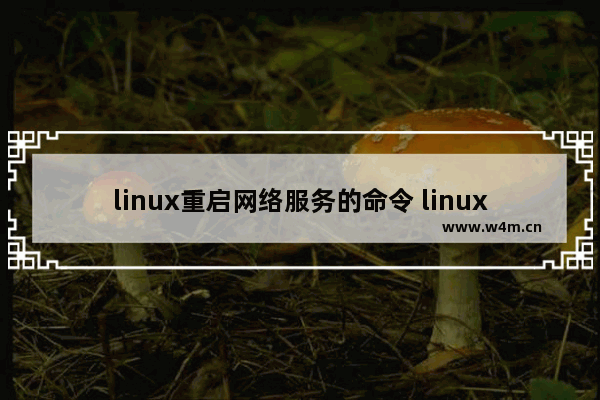 linux重启网络服务的命令 linux网络配置的详细过程