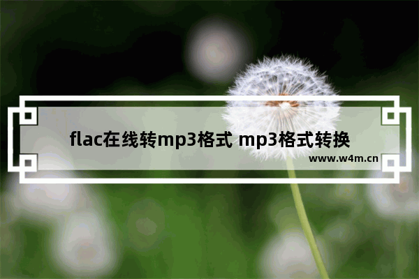 flac在线转mp3格式 mp3格式转换器推荐