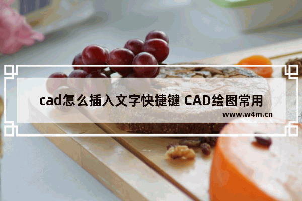 cad怎么插入文字快捷键 CAD绘图常用快捷键大全