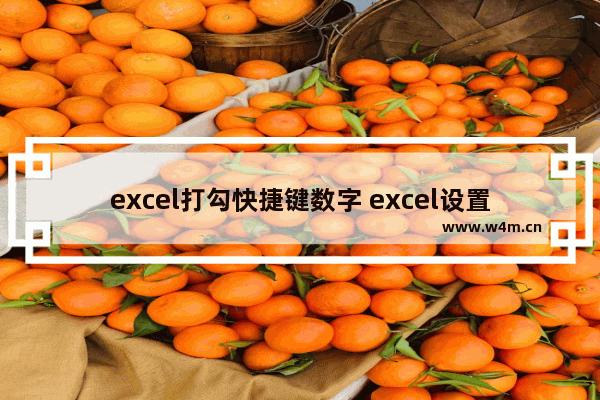 excel打勾快捷键数字 excel设置勾叉选项