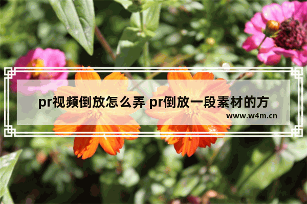 pr视频倒放怎么弄 pr倒放一段素材的方法