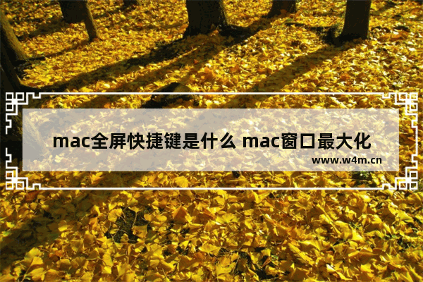 mac全屏快捷键是什么 mac窗口最大化快捷键