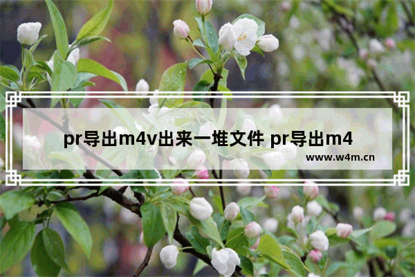 pr导出m4v出来一堆文件 pr导出m4v格式音视频分离技巧