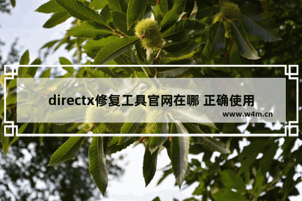 directx修复工具官网在哪 正确使用directx修复工具的方法