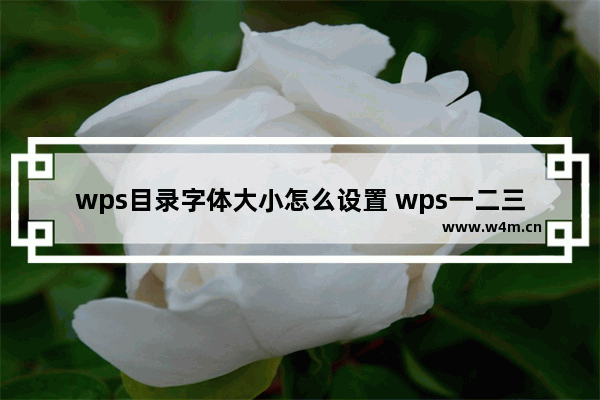 wps目录字体大小怎么设置 wps一二三级目录字体格式